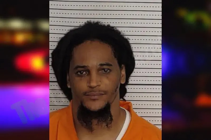 Terrell Johnson Mugshots