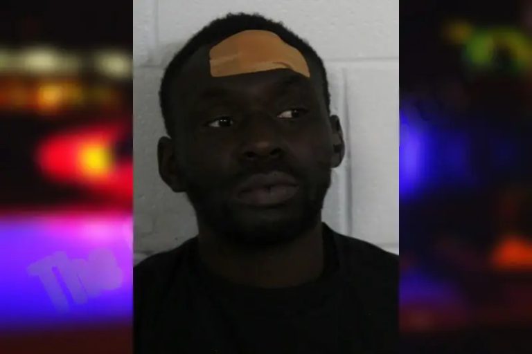 Terrence Johnson mugshot – Floyd County , Georgia Terrence Johnson