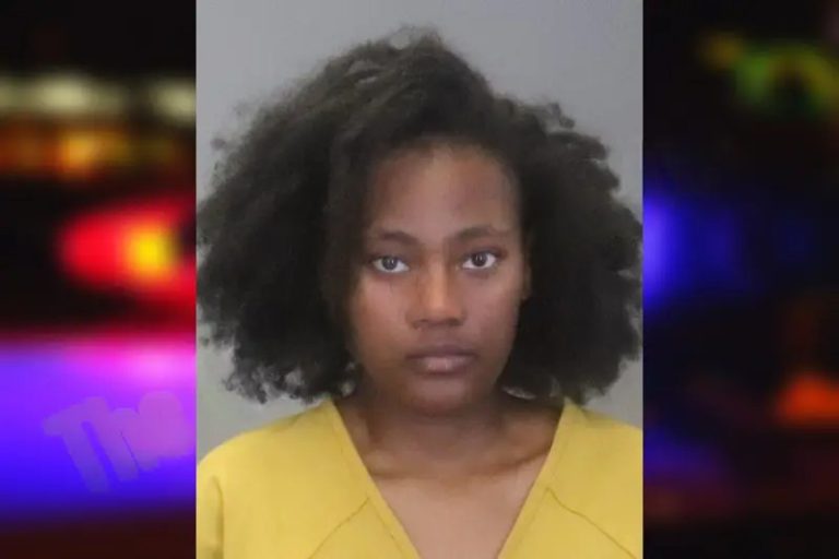 Terri Walker mugshot β Muscogee County , Georgia Terri Walker