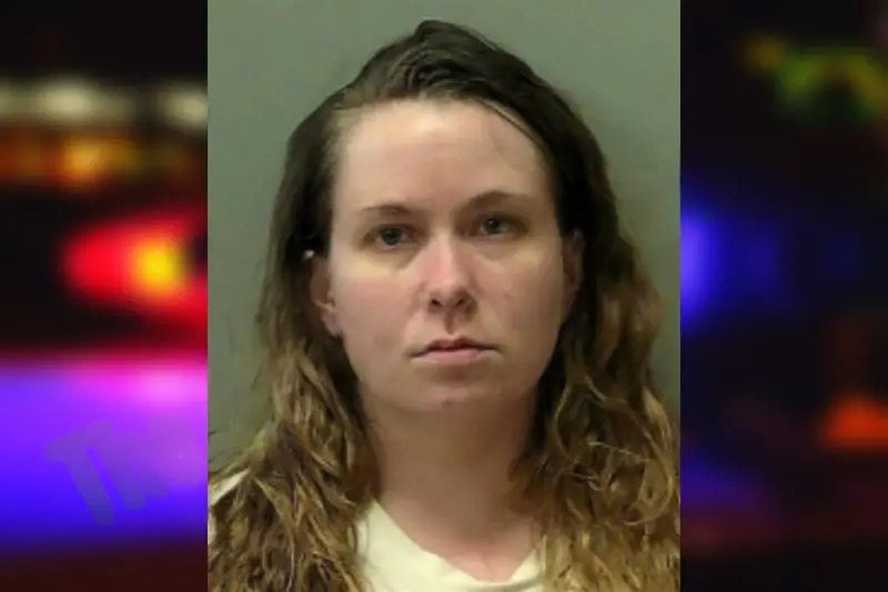 Terrie Miles Mugshots