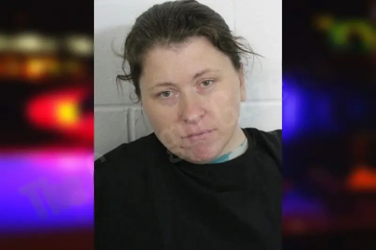 Tiffany Selman mugshot – Floyd County , Georgia Tiffany Selman