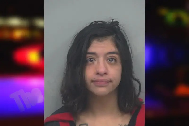 Vianey Martinez Mugshots