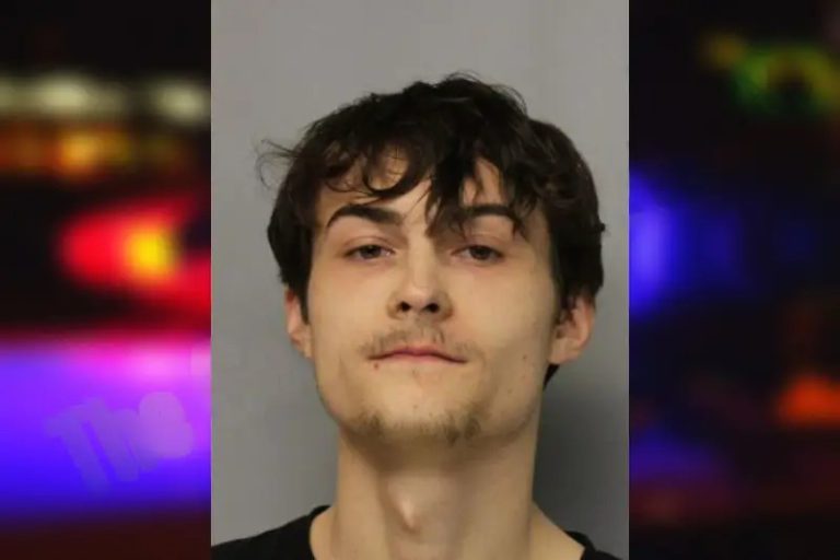 William McArn mugshot – Hall County , Georgia William McArn