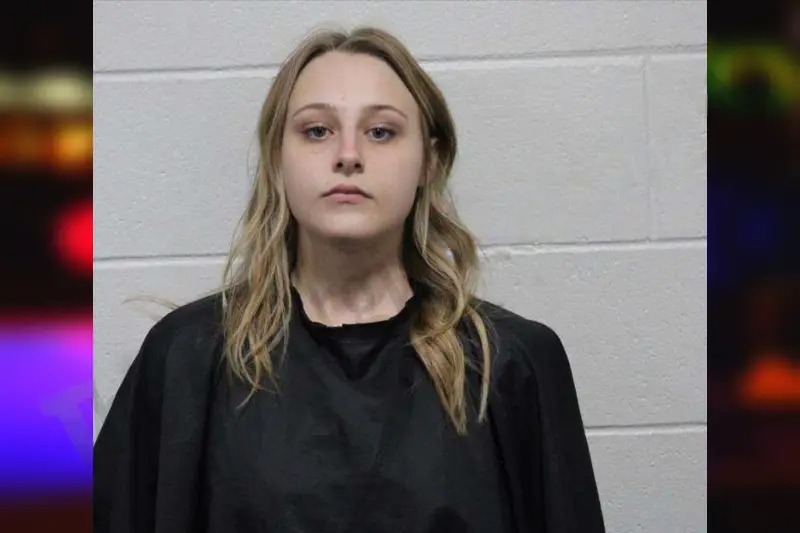 Wynter Shook Mugshots