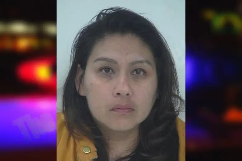 Yadira Salgado Mugshots