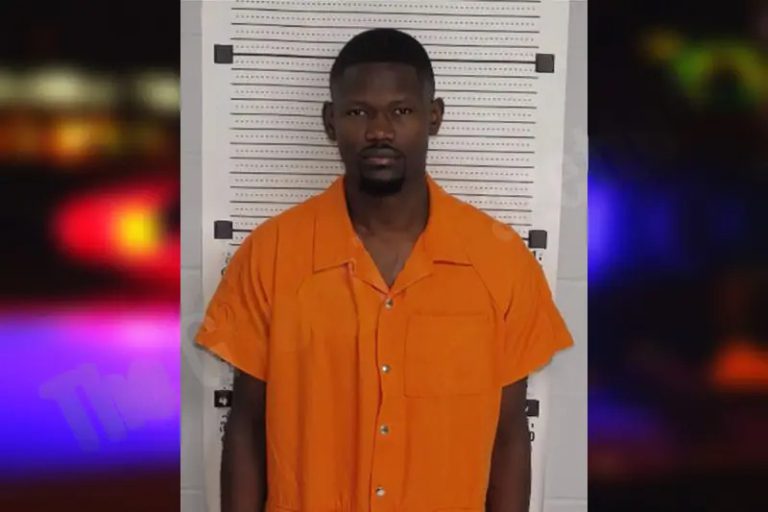 Yann Polo mugshot – Rockdale County , Georgia Yann Polo