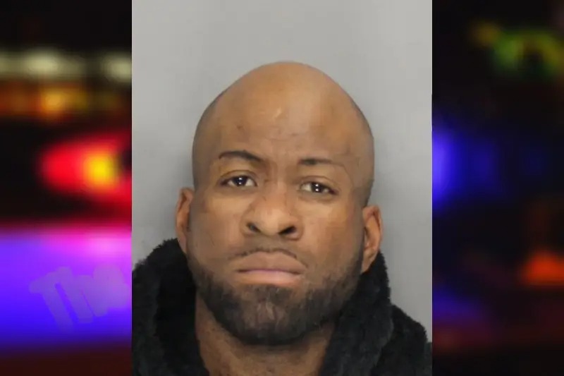 Yoshae Iiko Mugshots