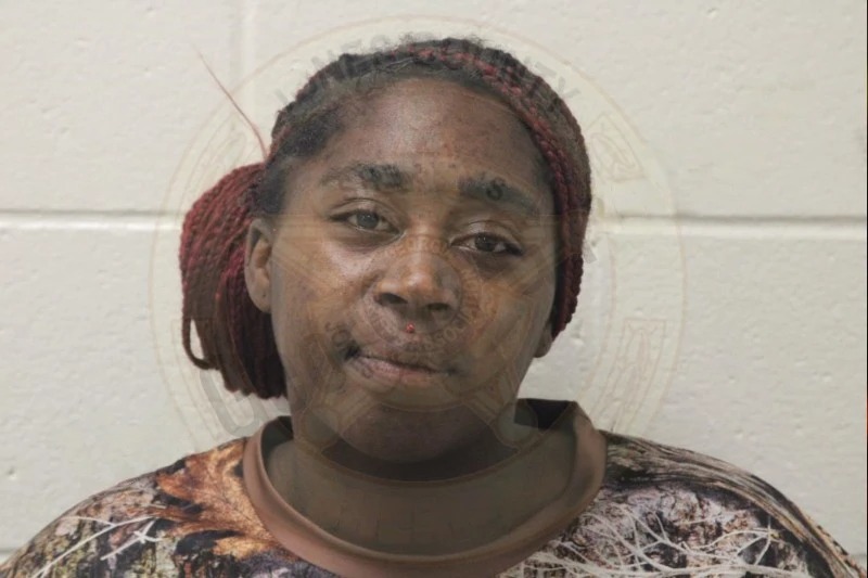 Aaliyah Hall Mugshots