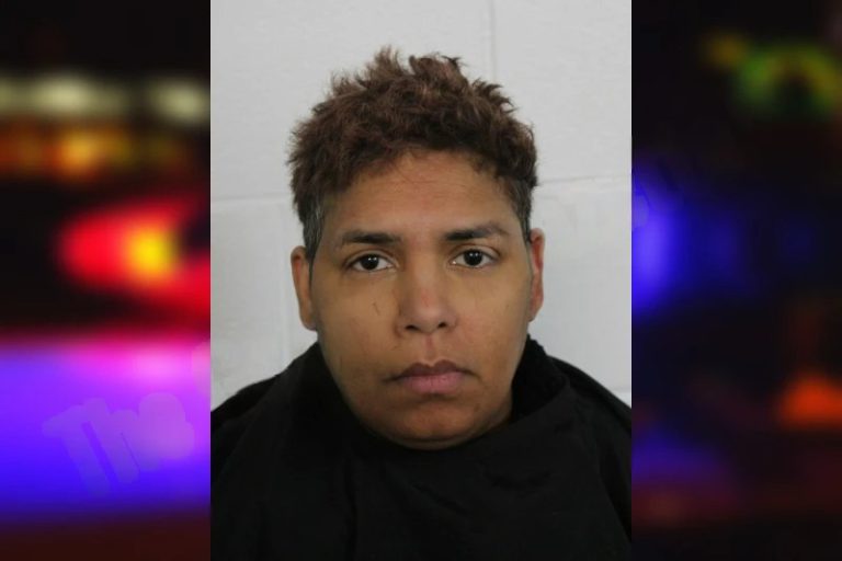 Agustina Hidalgo-Valdez mugshot – Floyd County , Georgia Agustina Hidalgo-Valdez