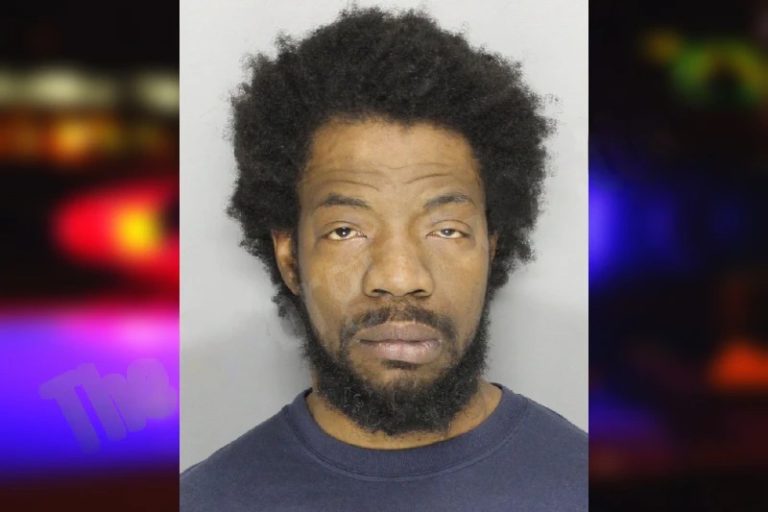 Alain Laveau mugshot – Cobb County , Georgia Alain Laveau