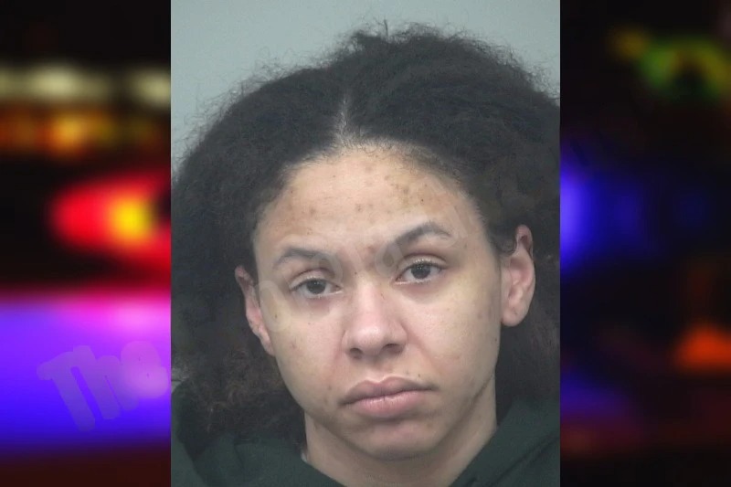 Alexis Wansley mugshot – Gwinnett County , Georgia Alexis Wansley mugshot