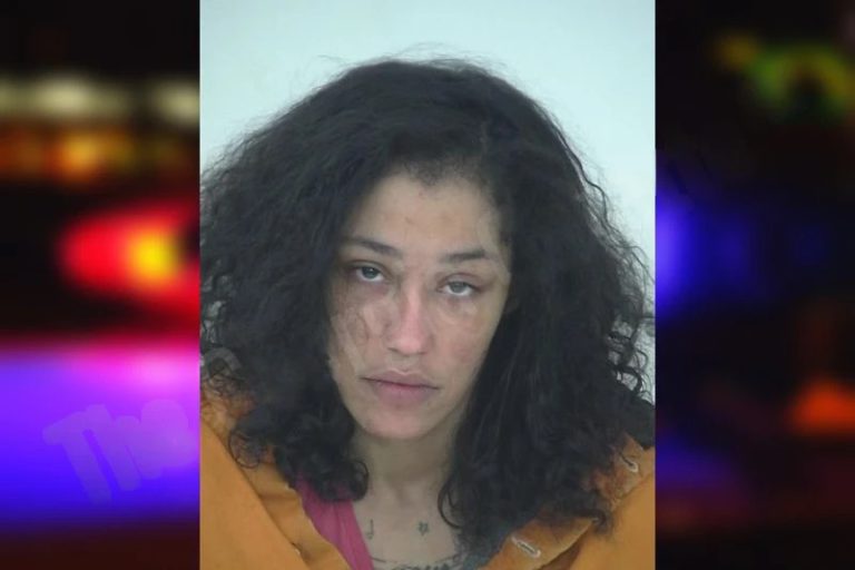 Alexxis Leighton mugshot – Fayette County , Georgia Alexxis Leighton