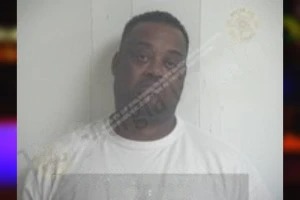 Ali Hunter mugshot – Walton County , Georgia Ali Hunter