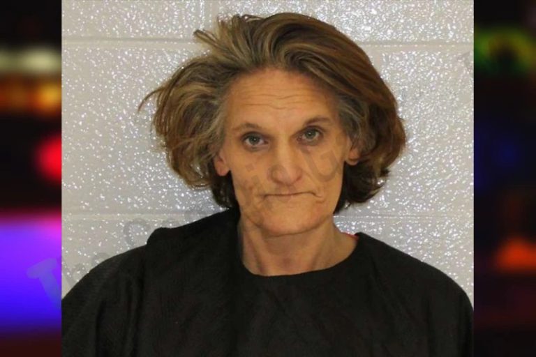Alisa Fowler mugshot – Carroll County , Georgia Alisa Fowler