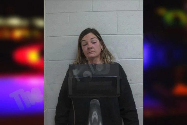 Alisa Lovelace mugshot – Putnam County , Georgia Alisa Lovelace