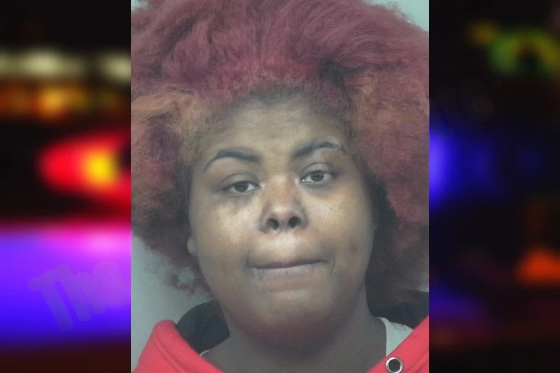 Alize Lowe mugshot – Gwinnett County , Georgia Alize Lowe mugshot