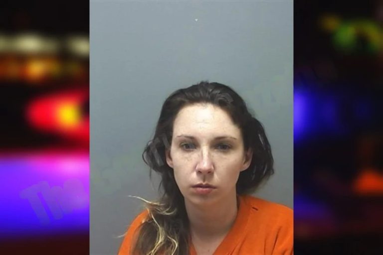 Allison Anderson mugshot – Cherokee County , Georgia Allison Anderson