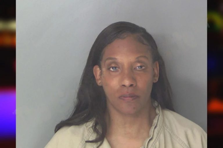 Allison Reed mugshot – Douglas County , Georgia Allison Reed
