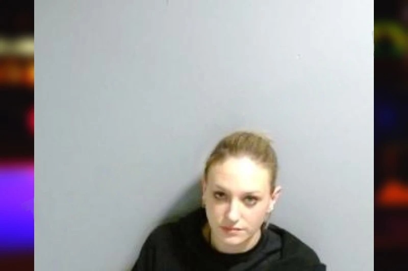 Allison Slayton mugshot – Fulton County , Georgia Allison Slayton mugshot