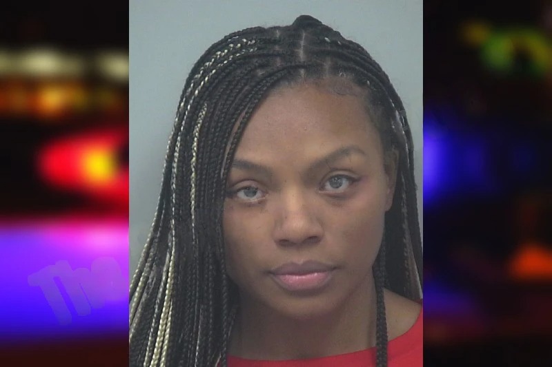 Allyson Griffin Mugshots