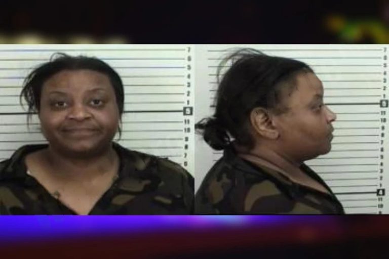 Almitra Bey mugshot – Camden County , Georgia Almitra Bey