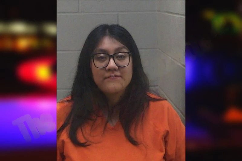 Alondra Garcia Soto Mugshots