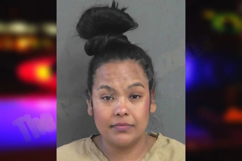 Alondra Ramirez Mugshots