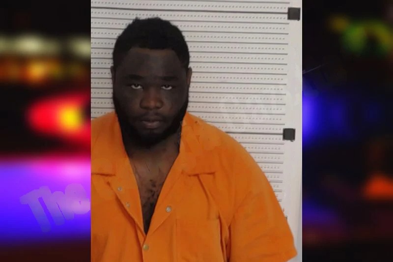 Alonza Fleming mugshot