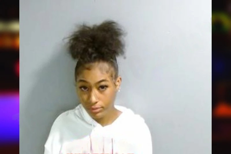 Alyssa Landy mugshot – Fulton County , Georgia Alyssa Landy mugshot