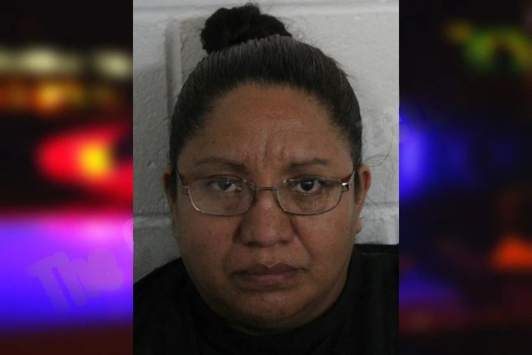 Amalia Chanchavac mugshot – Floyd County , Georgia Amalia Chanchavac