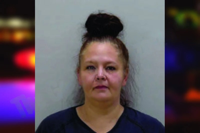 Amanda Cook Mugshots