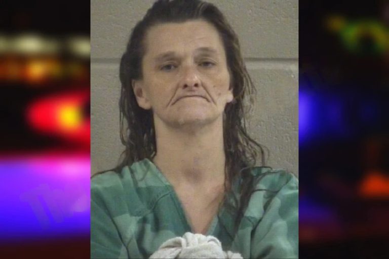 Amanda Crane mugshot – Whitfield County , Georgia Amanda Crane