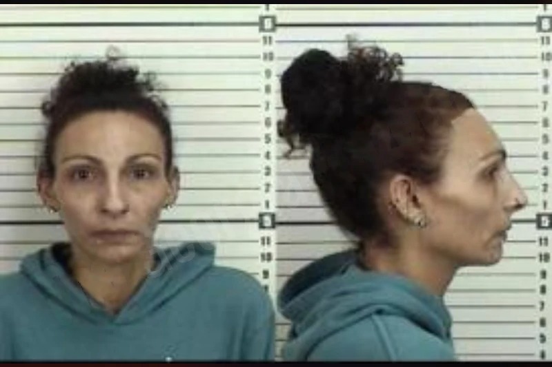 Amanda McQuarrie mugshot – Camden County , Georgia Amanda McQuarrie mugshot