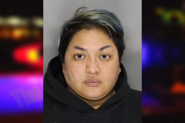 Amanda Villarimo mugshot – Cobb County , Georgia Amanda Villarimo