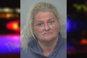 Amanda Warren mugshot – Gwinnett County , Georgia Amanda Warren mugshot