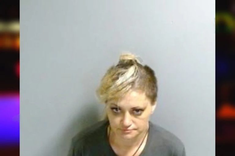 Amanda Yanez mugshot – Fulton County , Georgia Amanda Yanez