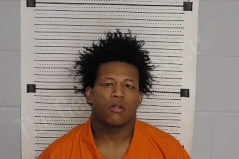 Amaree Teamer mugshot – Rockdale County , Georgia Amaree Teamer