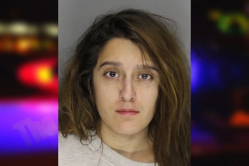 Amber Alden mugshot โ Cobb County , Georgia Amber Alden mugshot