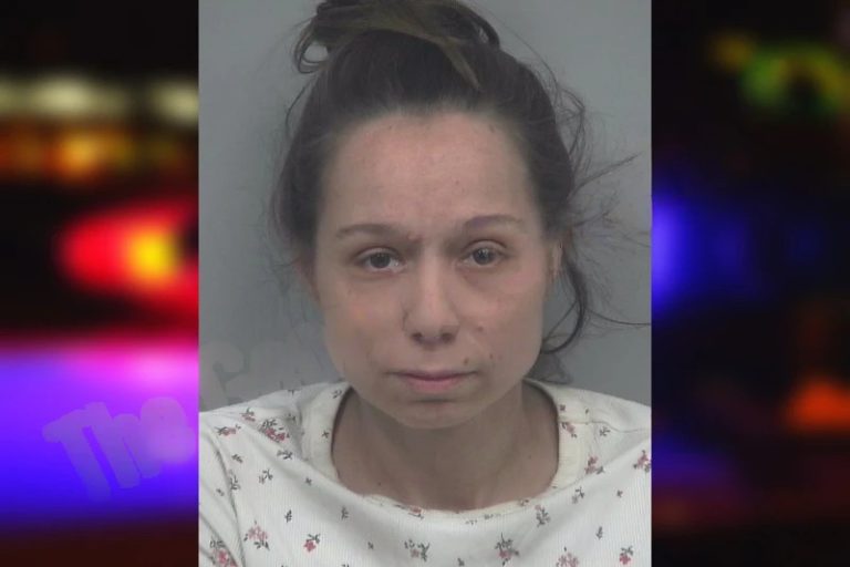 Amber Finley mugshot – Gwinnett County , Georgia Amber Finley