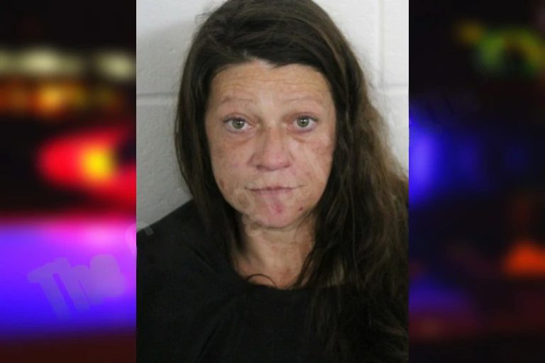 Amber Newton mugshot – Floyd County , Georgia Amber Newton