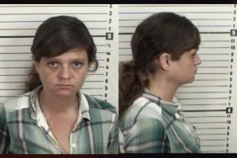 Amber Skinner Mugshots