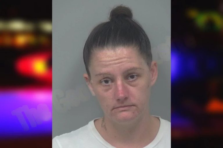 Amberly Ewing mugshot β Henry County , Georgia Amberly Ewing