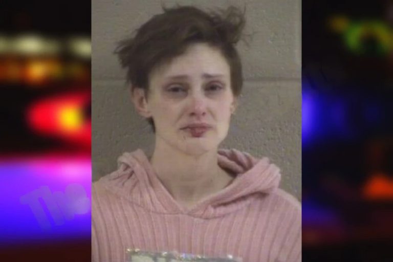 Amberly Stafford mugshot – Whitfield County , Georgia Amberly Stafford