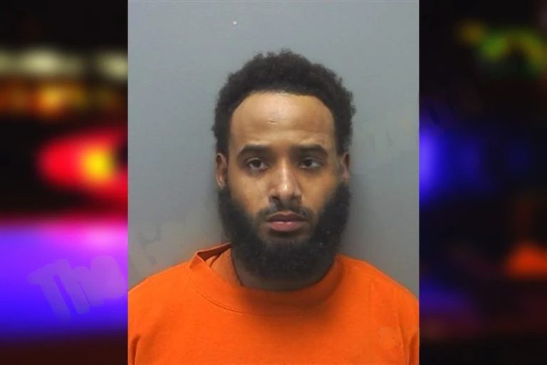 Amel Hines mugshot – Cherokee County , Georgia Amel Hines