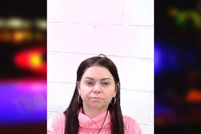 Amila Imsirovic mugshot – Fulton County , Georgia Amila Imsirovic