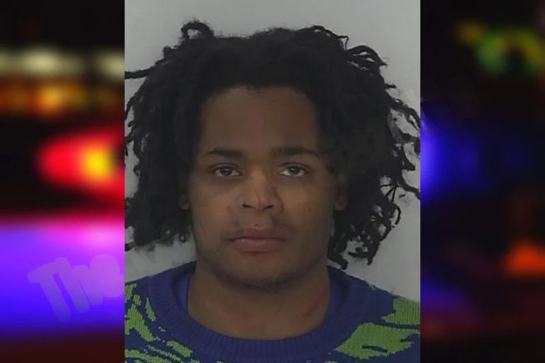 Amir Johnson mugshot – Fayette County , Georgia Amir Johnson