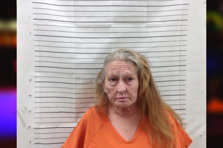 Amy Ray mugshot – Pickens County , Georgia Amy Ray