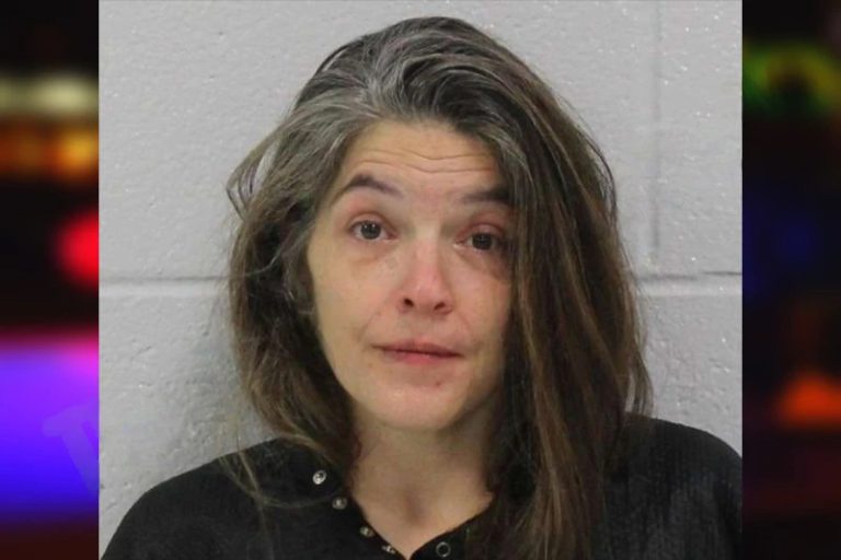 Amy Taylor mugshot – Carroll County , Georgia Amy Taylor