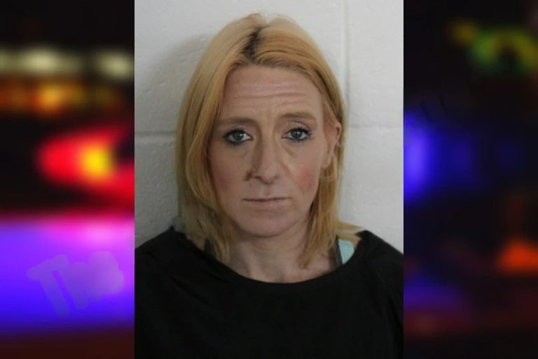 Amy Wilburn mugshot – Floyd County , Georgia Amy Wilburn