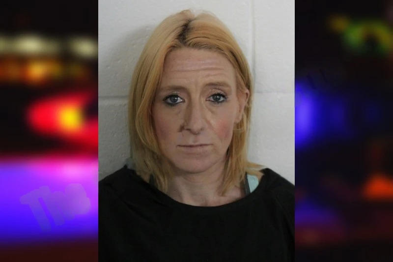 Amy Wilburn mugshot – Floyd County , Georgia Amy Wilburn mugshot